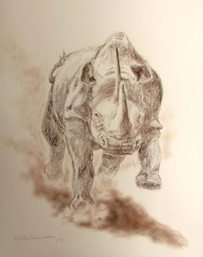 Bild Angreifendes Nashorn von vorn von Uli Aschenborn